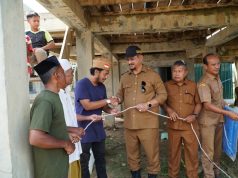 Secara Simbolis, Bupati Armia Serahkan 2 Ekor Sapi Kurban Dari Presiden Prabowo