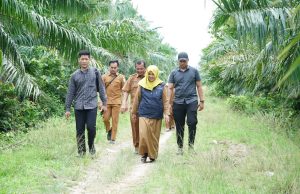 Perecapatan Rehabilitasi dan Rekonstruksi Lahan Pertanian Bagian Dari pemulihan ekonomi masyarakat.