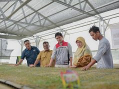 Pasca Banjir, Kelompok Tani Pertamina EP Rantau Panen Cabai Bersama Wakil Bupati Aceh Tamiang